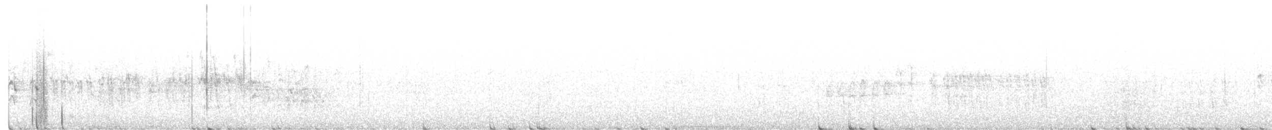 křivka bělokřídlá - ML203111671