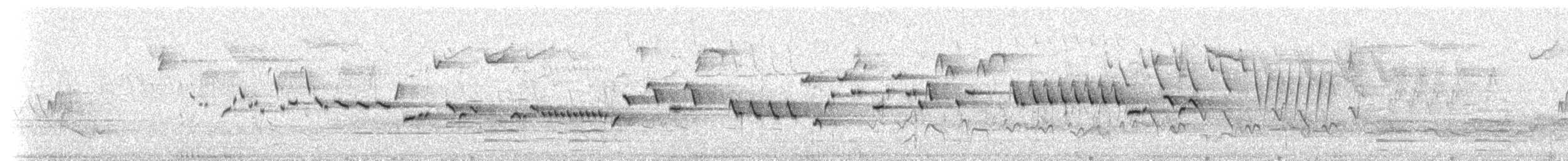 Winter Wren - ML203141