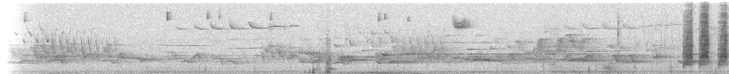 new world sparrow sp. - ML203142