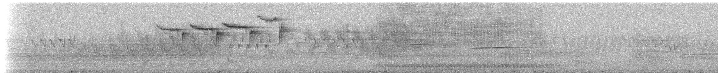 Blackburnian Warbler - ML203144