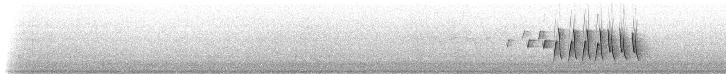 Northern Waterthrush - ML203148