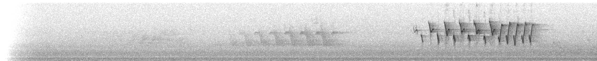 Nashville Warbler - ML203149