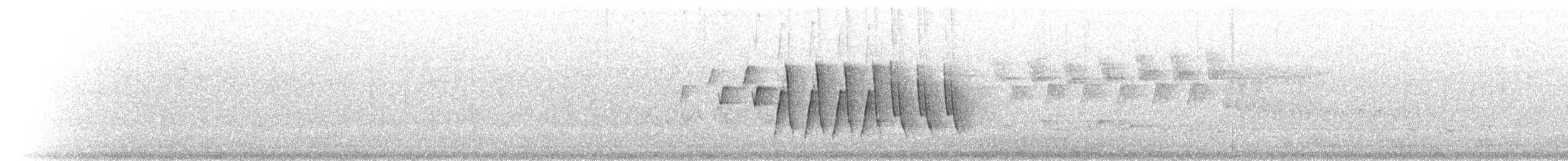 Northern Waterthrush - ML203152