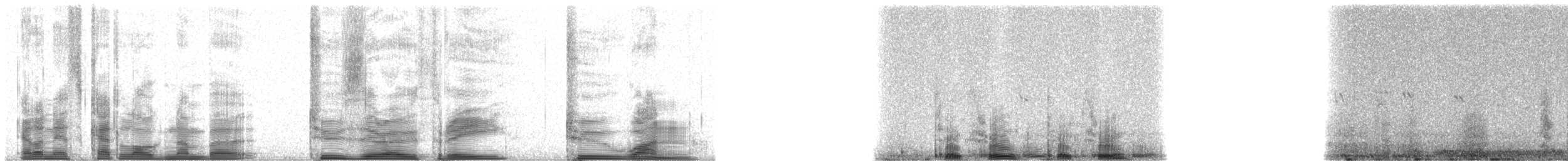 Galapagos Petrel - ML20321