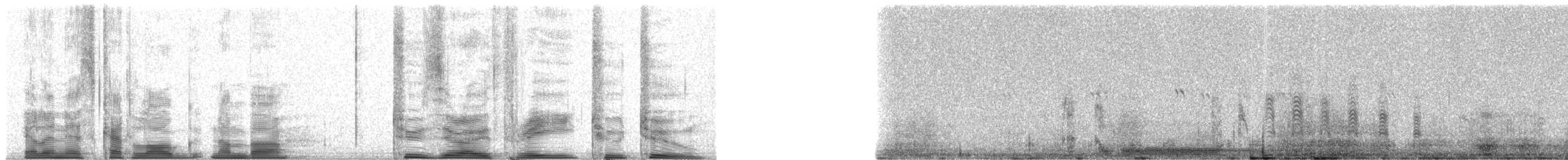 Galapagos Petrel - ML20322