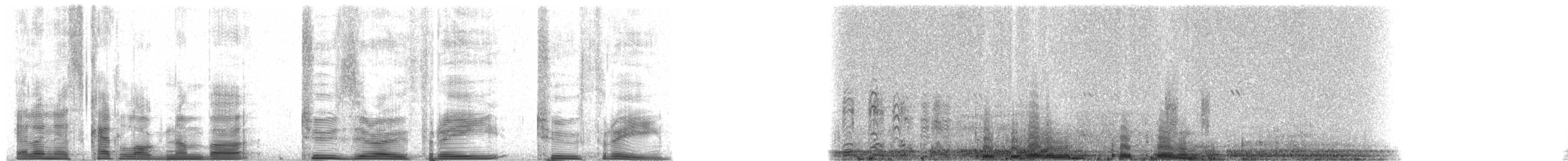 Galapagos Petrel - ML20323