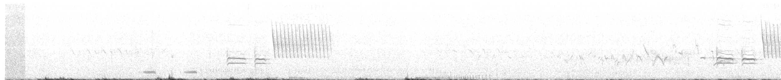Тауї плямистий - ML203237141