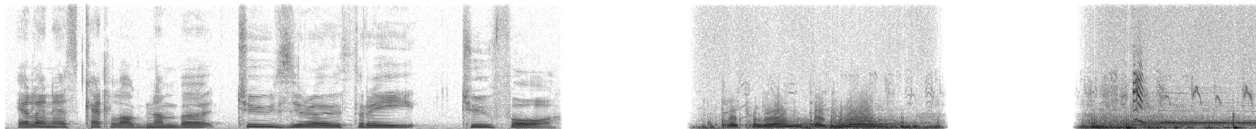 Galapagos Petrel - ML20324