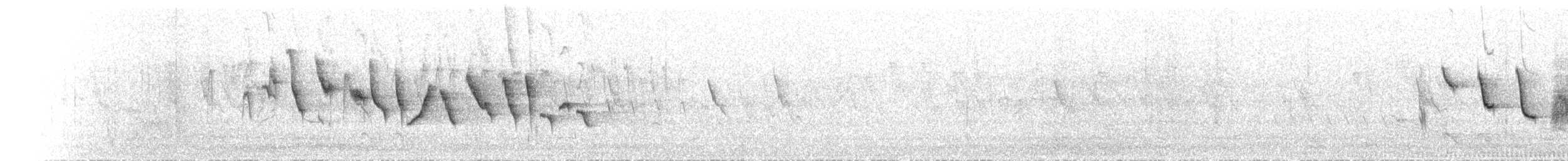 Zostérops des Wakatobi - ML203244391