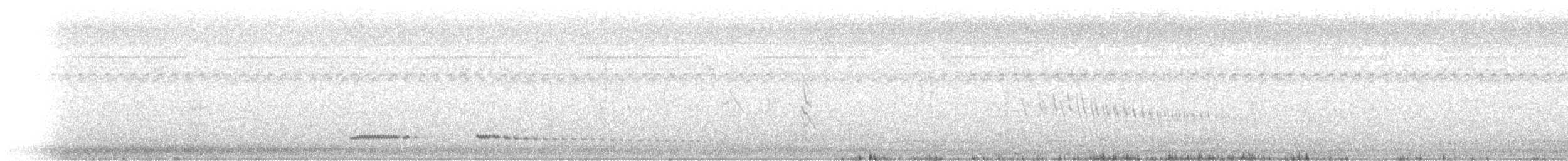 Tinamou à petit bec - ML203271901