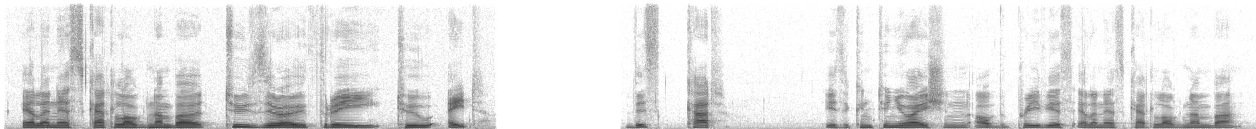 Galapagos Petrel - ML20328