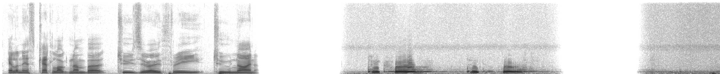 Galapagos Petrel - ML20329