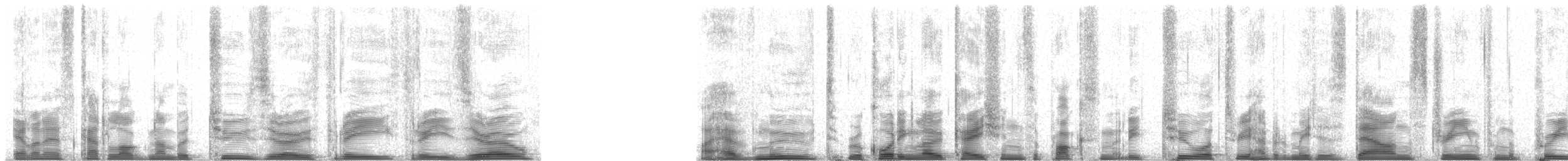 Galapagos Petrel - ML20330