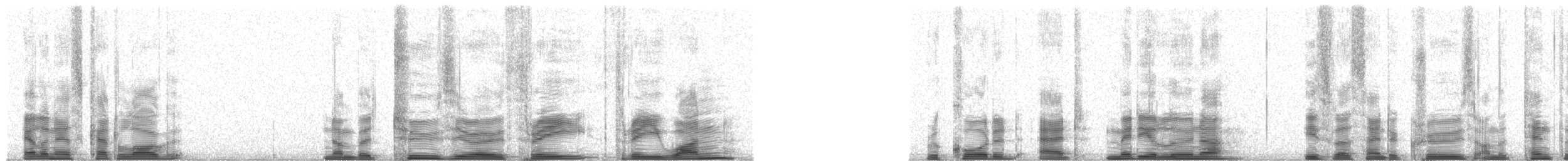 Galapagos Petrel - ML20331