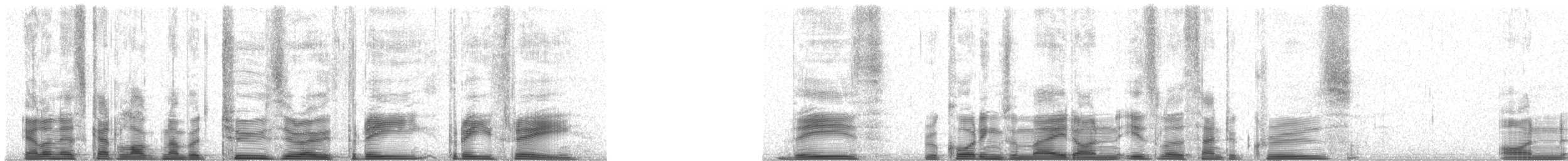 Galapagos Petrel - ML20333