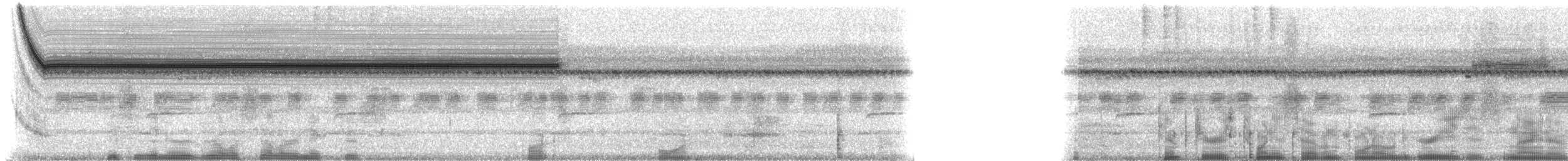 Indies Short-tailed Cricket - ML203336