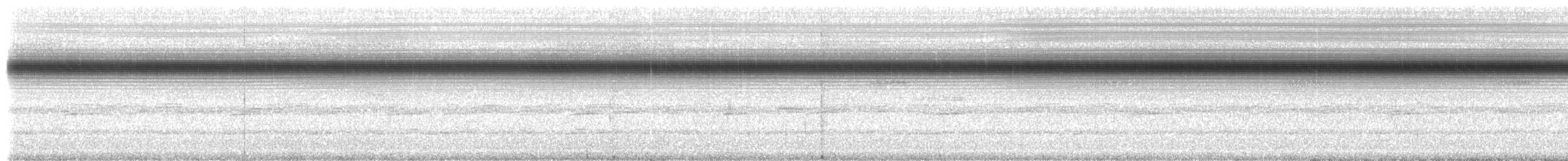 Indies Short-tailed Cricket - ML203337