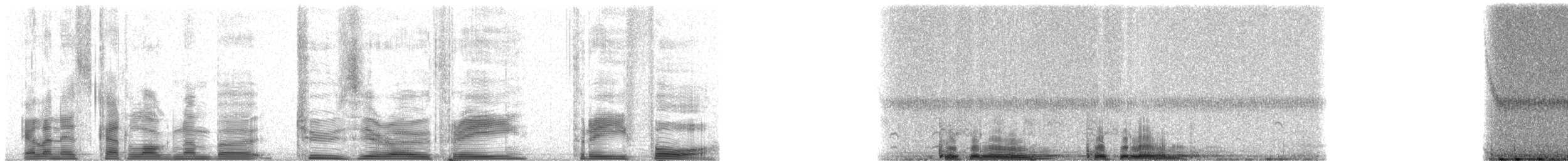 Galapagos Petrel - ML20334