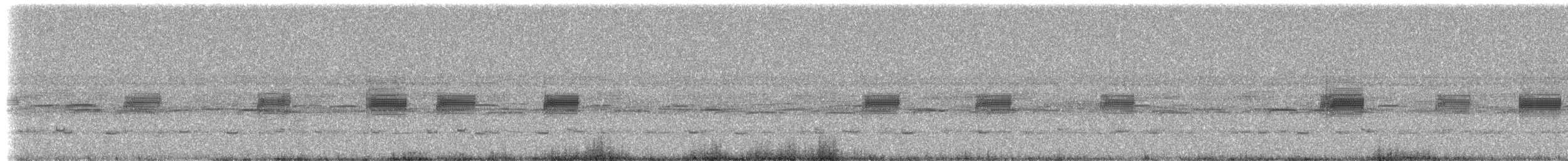 Jamaican Field Cricket - ML203341