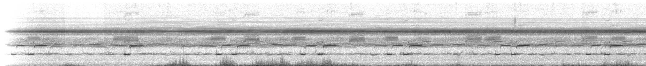 Indies Short-tailed Cricket - ML203343