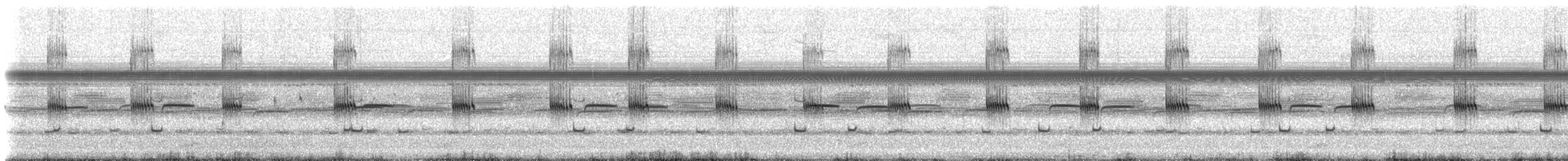 Jamaican Field Cricket - ML203344