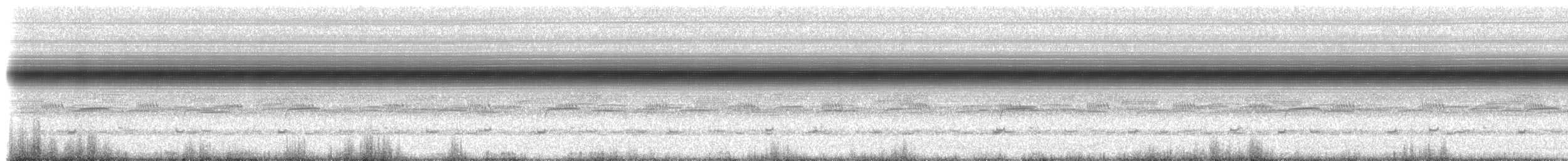 Indies Short-tailed Cricket - ML203345