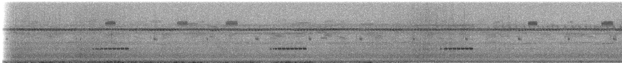 Allard's tree cricket - ML203347