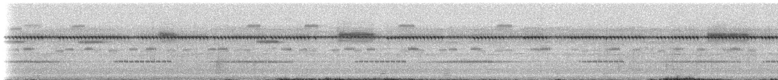 Allard's tree cricket - ML203348