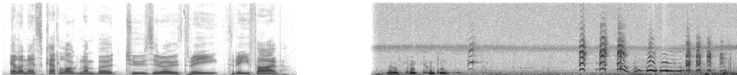 Galapagos Petrel - ML20335