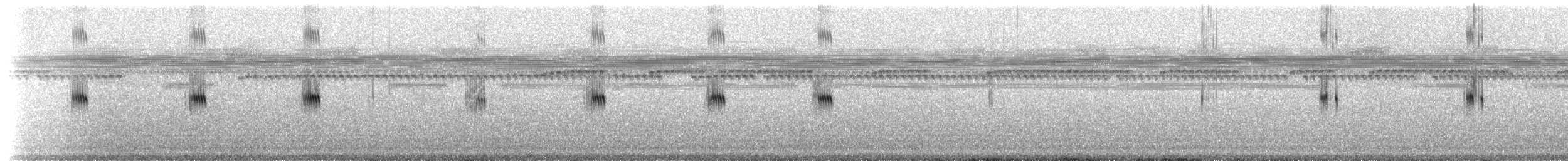 Jamaican Field Cricket - ML203360