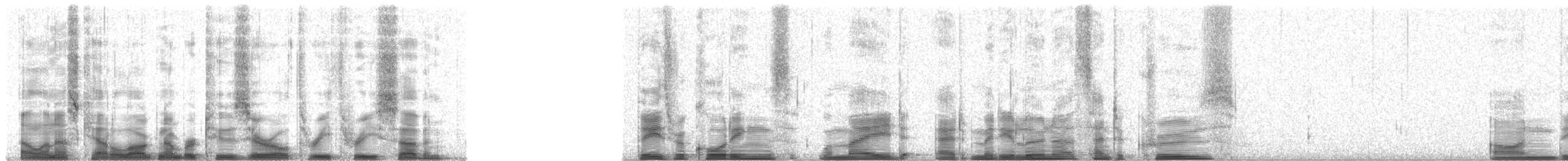 Galapagos Petrel - ML20337