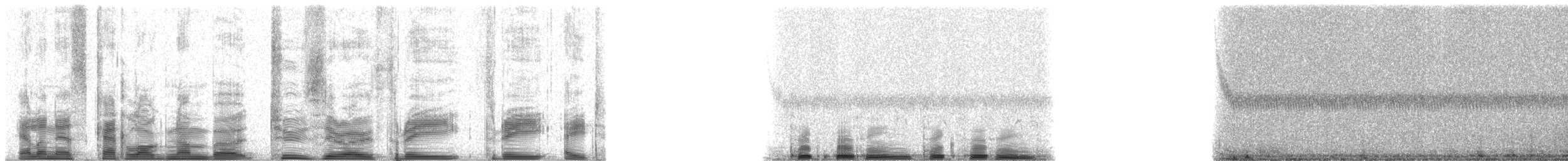 Galapagos Petrel - ML20338