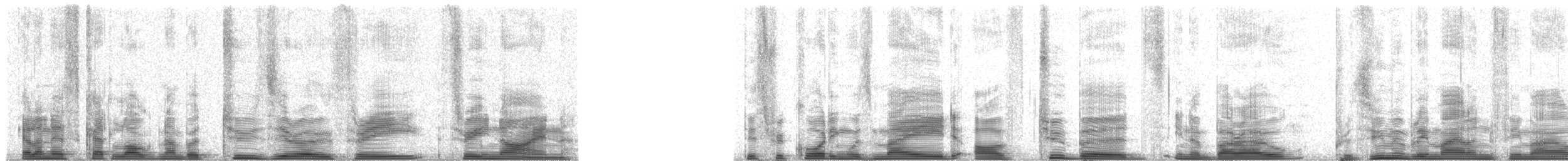 Galapagos Petrel - ML20339