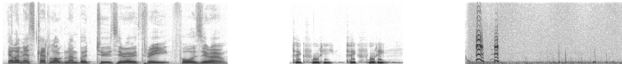 Galápagossturmvogel - ML20340