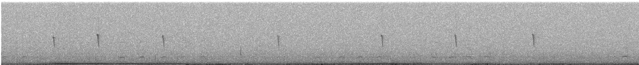 Светлобрюхий фиби - ML203401611
