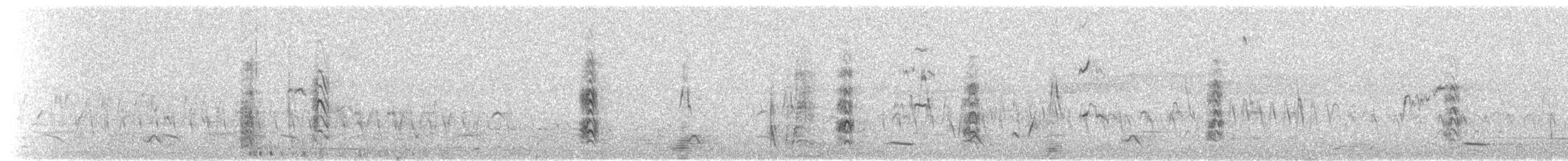חרטומית חדת-זנב - ML203435571