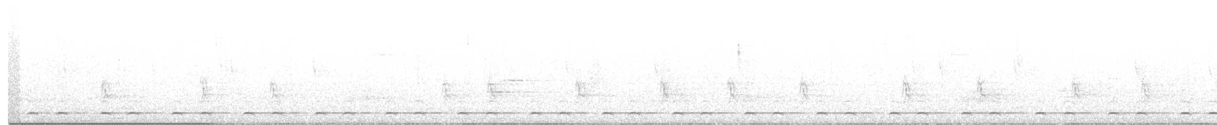 Сичик-горобець гірський (підвид cobanense) - ML203474731