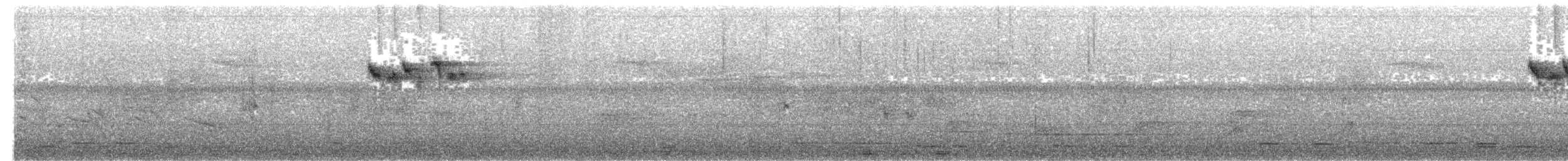 Obscure Berrypecker - ML203489891
