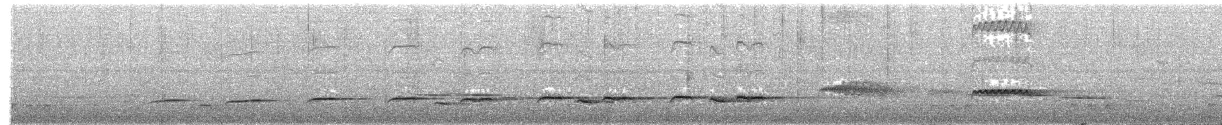Sahul Brush Cuckoo - ML203489971