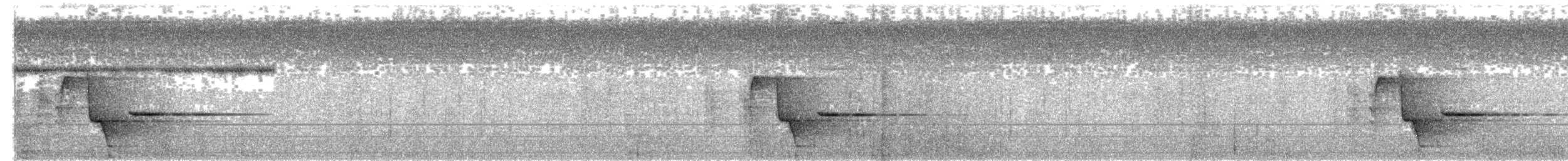 Ak Karınlı Kara Katmerkuyruk - ML203490081