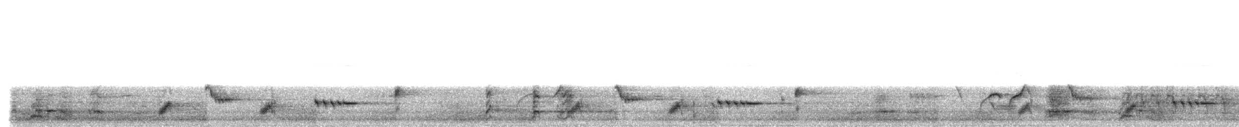 Psophode à menton noir (leucogaster/lashmari) - ML203490171