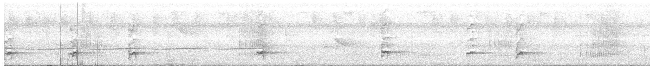 Black-bellied Cuckoo - ML203584141