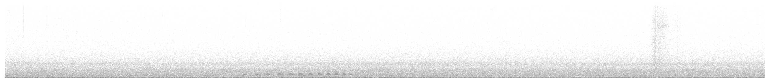 Western Screech-Owl - ML203674941