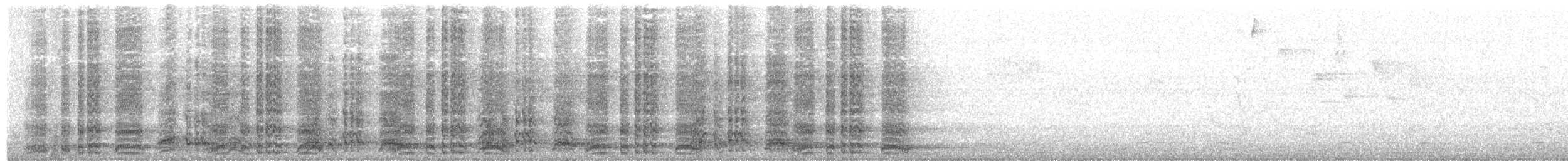 ワキアカヒメシャクケイ（ruficauda） - ML203692031