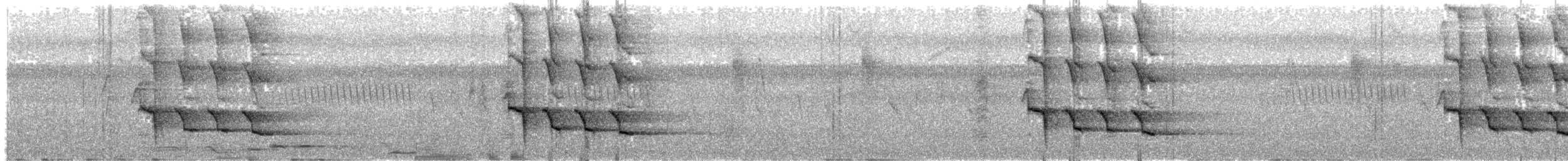 Glanzfleckdrongo (carbonarius) - ML203692221