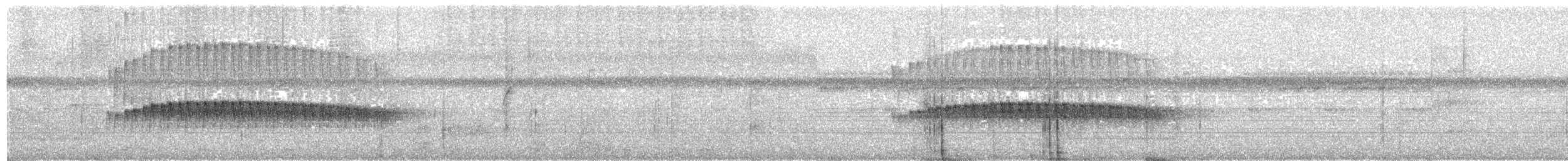 Schwarzgesicht-Ameisenvogel - ML203692481