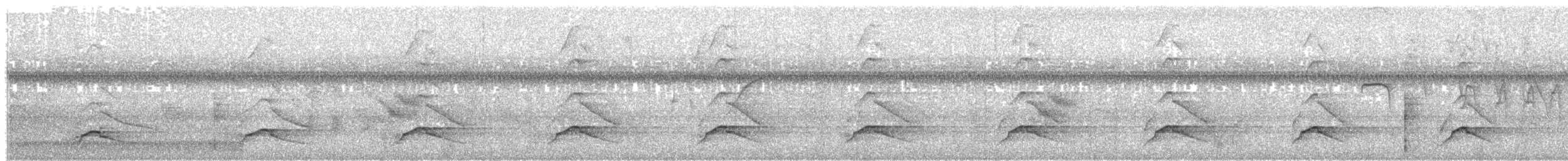Gray-lined Hawk - ML203692501