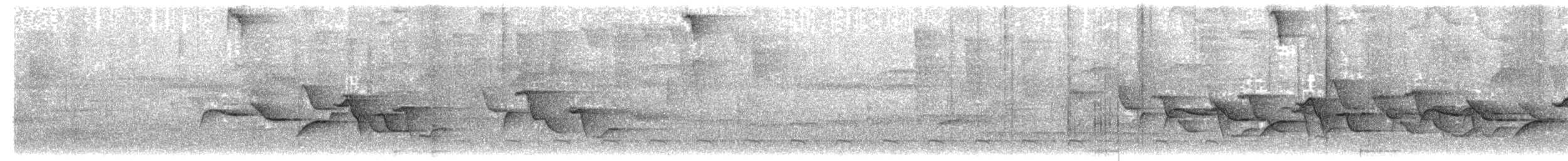 Spot-breasted Wren - ML203692831