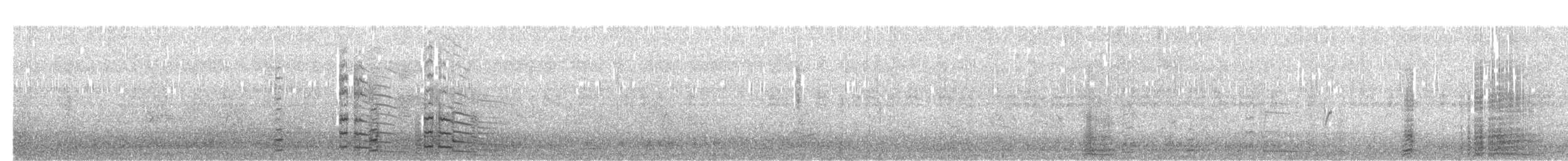 カモハクチョウ - ML203692881