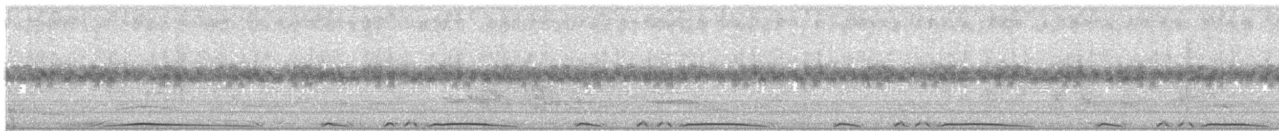 holub středoamerický - ML203692991